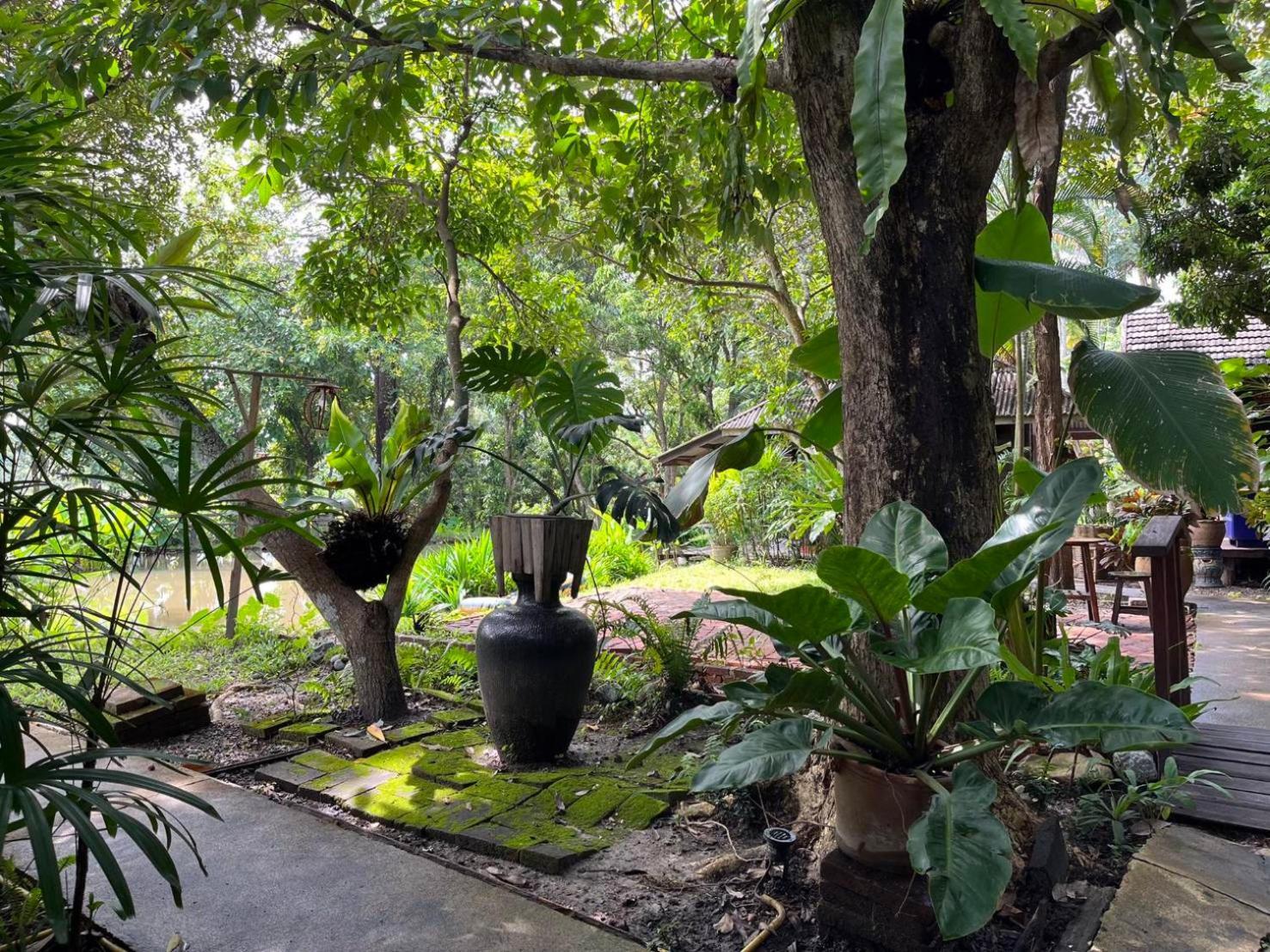 Tongluang Inthanon Homestay โต้งหลวงอินทนนท์โฮมสเตย์ Chom Thong Extérieur photo
