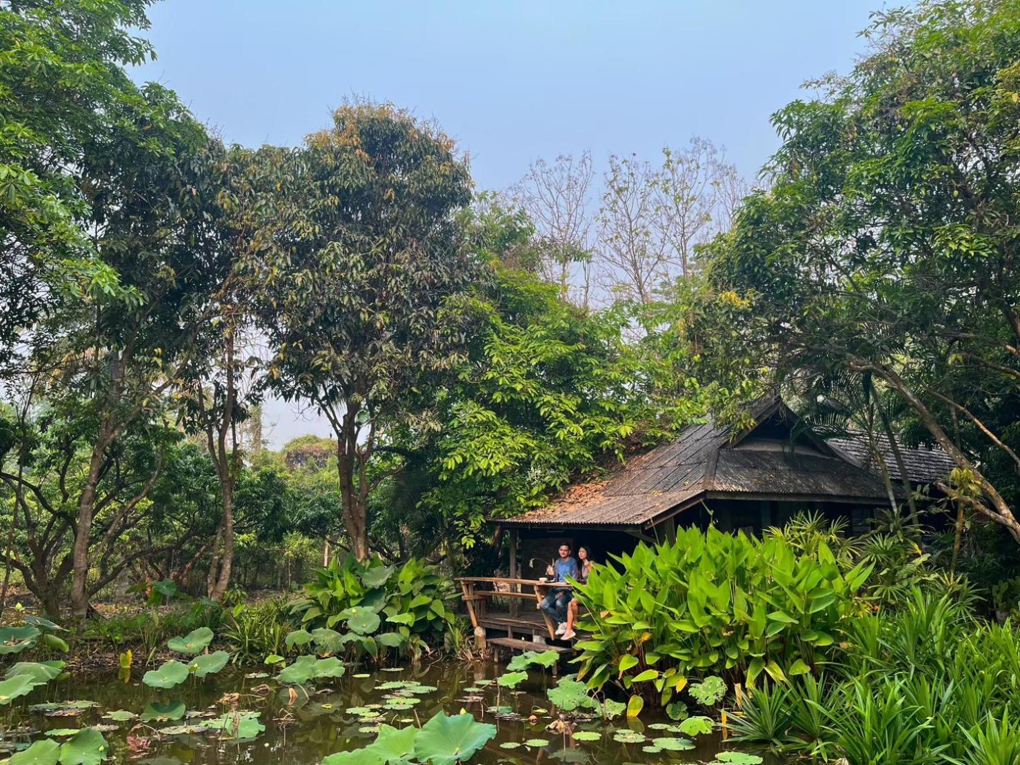Tongluang Inthanon Homestay โต้งหลวงอินทนนท์โฮมสเตย์ Chom Thong Extérieur photo