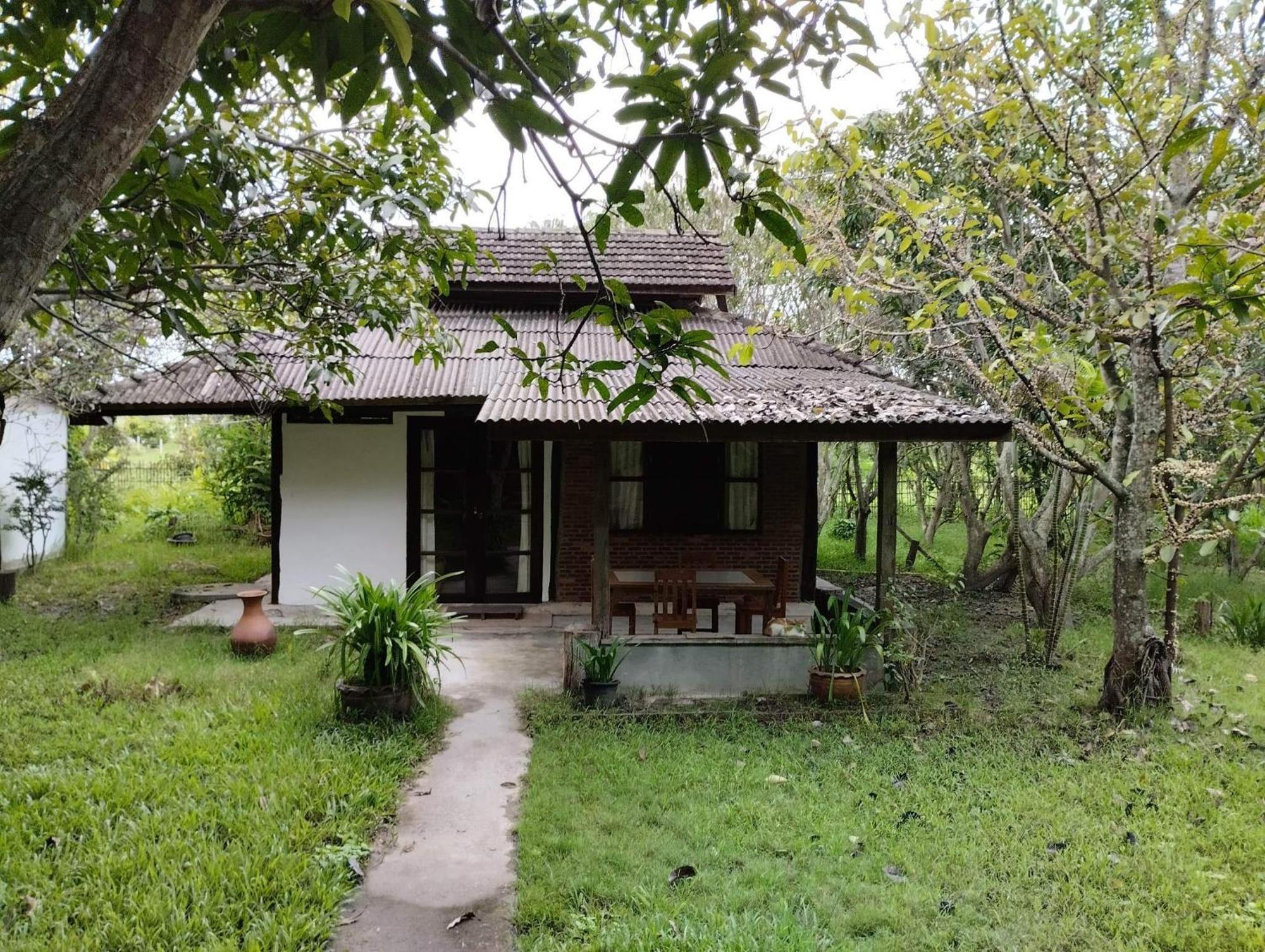 Tongluang Inthanon Homestay โต้งหลวงอินทนนท์โฮมสเตย์ Chom Thong Chambre photo